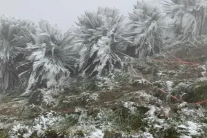 Nhiệt độ tại đỉnh Mẫu Sơn 3°C