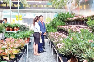 Ra mắt siêu thị Cây xanh thứ 2, góp phần cung ứng mảng xanh cho TPHCM