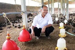 “Tỷ phú chân đất” Tư Rõ ở trang trại gà của ông  dưới chân núi Gò Loi