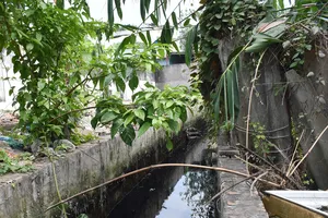 Sớm xử lý những trường hợp lấn rạch