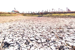 Tây Nguyên - Nam Trung bộ ứng phó nguy cơ sa mạc hóa - Bài 1: Suy kiệt nguồn nước