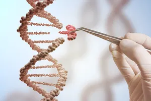 WHO khuyến nghị về chỉnh sửa bộ gen người