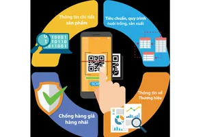 Sàn thương mại điện tử siết truy xuất nguồn gốc hàng hóa 