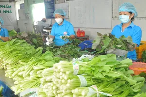 Giá rau xanh đang tăng mạnh do ảnh hưởng  bởi dịch bệnh và thời tiết. Ảnh: Cao Thăng