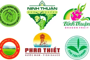 Thúc đẩy việc bảo hộ nhãn hiệu và chỉ dẫn địa lý 