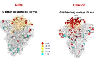 Một dòng phụ của biến thể Omicron đang phát triển nhanh, lan tới 40 quốc gia