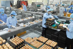 Nhanh chóng triển khai gói hỗ trợ doanh nghiệp