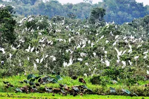 Thúc đẩy đa dạng sinh học