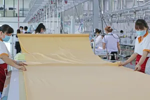 Nhiều người lao động  đã ủy quyền cho tổ chức Công đoàn tỉnh  Long An khởi kiện doanh nghiệp  đòi tiền  bảo hiểm