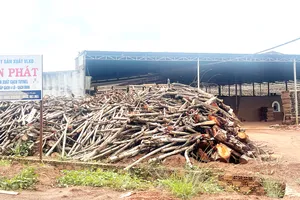 Các lò gạch thủ công đốt bằng củi nên khói gây ô nhiễm môi trường