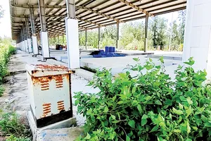 Một góc bến cá Tân Phụng đầu tư hơn 26 tỷ đồng   trong cảnh đìu hiu, lãng phí