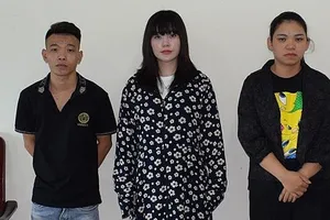 Các đối tượng bị bắt giữ