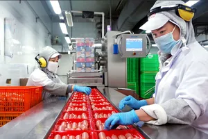 Công nhân Công ty Vissan thực hiện những đơn hàng phục vụ Tết Quý Mão 2023. Ảnh: Hoàng Hùng