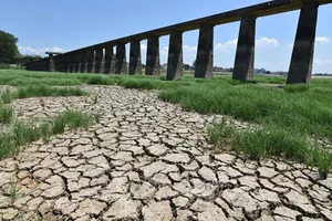       Đáy một hồ nước khô nứt nẻ do hạn hán kéo dài tại Nam Kinh, tỉnh Giang Tô, Trung Quốc ngày 21-8-2022