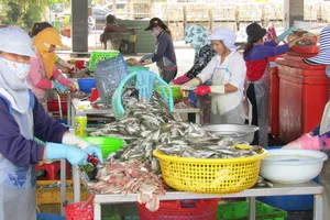 Sơ chế hải sản tại cảng cá Tân Phước, xã Phước Tỉnh, huyện Long Điền, tỉnh Bà Rịa - Vũng Tàu