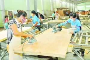 Để hàng xuất khẩu của Việt Nam tránh nguy cơ bị “vạ lây”