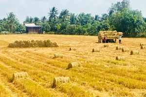 Nâng niu “hạt ngọc trời”