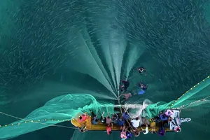 Đánh cá ở vùng duyên hải Chuao, Venezuela