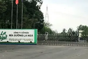 Chuyển cơ quan điều tra vụ sai phạm đất đai tại Công ty cổ phần Mía đường La Ngà