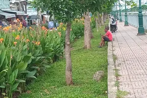 Điểm ô nhiễm do rác thải ở rạch Ụ Cây, quận 8, TPHCM đã được chuyển hóa thành vườn hoa nhỏ xanh, đẹp