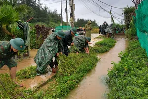 Quảng Ngãi: Nhiều tuyến đường bị ngập, sạt lở do mưa lớn