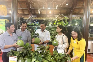 Dấu ấn sản phẩm OCOP TPHCM