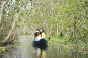 Nhịp sống dưới tán rừng U Minh Hạ