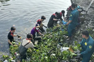 Các bạn trẻ làm sạch rạch Xuyên Tâm (quận Bình Thạnh, TPHCM) trong Ngày Chủ nhật xanh lần thứ 152