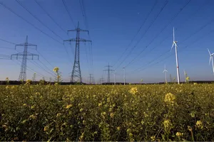 Năng lượng gió hiện đã vượt qua khí đốt để trở thành nguồn điện lớn thứ hai của EU. Ảnh: Bloomberg