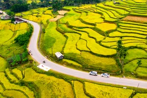 Nhật ký cuộc thi ngày 20-9-2024