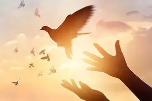 Nuôi dưỡng khát vọng phụng sự