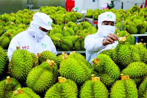 Chuyến thăm của Tổng Bí thư, Chủ tịch nước Trung Quốc Tập Cận Bình đến Việt Nam có ý nghĩa chiến lược