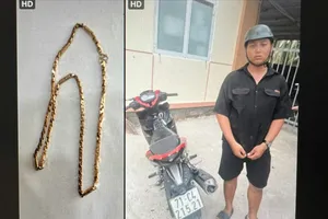 Bến Tre: Bắt nhanh đối tượng dùng hơi cay cướp tiệm vàng
