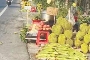 Nông dân huyện Phong Điền, TP Cần Thơ và huyện Châu Thành A, tỉnh Hậu Giang bán sầu riêng ven Quốc lộ 61C