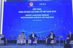 Hội thảo công bố Báo cáo Kinh tế Việt Nam 2025 do OECD thực hiện, chiều 20-6.