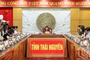 Đồng chí Phó Chủ tịch UBND tỉnh Nguyễn Thị Loan chủ trì tại điểm cầu tỉnh Thái Nguyên