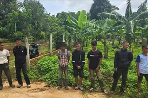 Các đối tượng trong vụ án