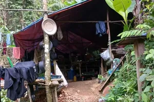 Phát hiện lán trại khai thác vàng trái phép trong rừng phòng hộ Bến Hải