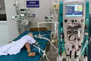 Liên tiếp bị ong vò vẽ tấn công, hai người tử vong