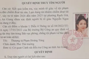 Quyết định truy tìm đối tượng Nguyễn Ngọc Diễm