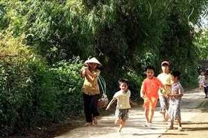 Chiều trên con đường làng. Ảnh: PHONG VŨ 