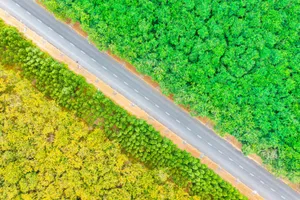 Dần thành hình đường Hồ Chí Minh qua thành phố mang tên Bác