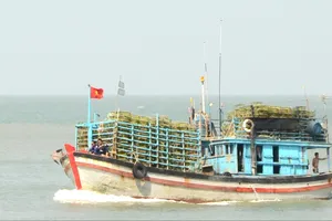 Tàu cá ngư dân TPHCM vươn khơi