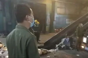 Lãnh đạo UBND phường Bến Cát (TPHCM): Xác đà điểu được tiêu hủy đúng quy trình