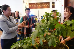 Bà Nguyễn Thị Anh Thi tham quan các gian hàng triển lãm tại hội thảo. Ảnh: XUÂN QUỲNH