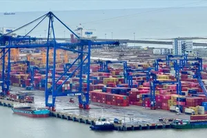 Gần 500 container chè Việt Nam ách tắc tại cảng Karachi, Pakistan