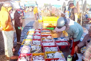 Giá các loại hải sản tại cảng cá Phan Thiết (tỉnh Lâm Đồng) ở mức ổn định. Ảnh: TIẾN THẮNG