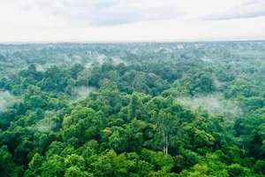 Khoảnh khắc cuối mùa đông