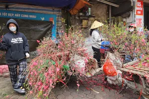 Các chợ ở Hà Nội 28 Tết ngập tràn sắc hoa