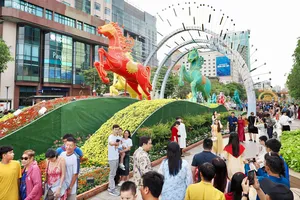 Đoàn khách quốc tế tham quan đường hoa, chiều 21-2. Ảnh: HOÀNG HÙNG